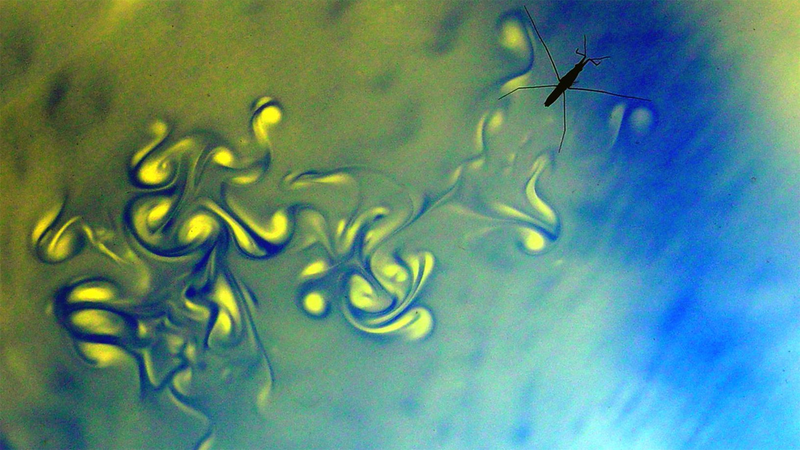 Illustration for article titled 32 Mesmerizing Photos of Vortices, From Soap Bubbles to Spiral Galaxies
